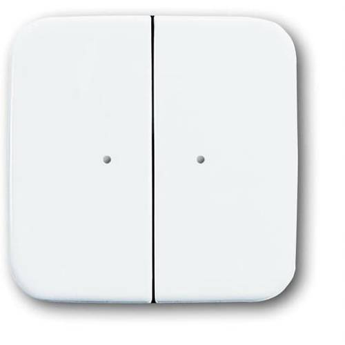 ABB 2CKA006730A0047 Wandschalter Reinweiß (RAL 9010), Weiß 6732-214