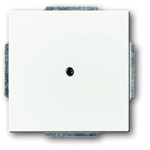 Busch-Jaeger Abdeckung Verkehrsweiß, Weiß 2CKA001710A3163 1 St.