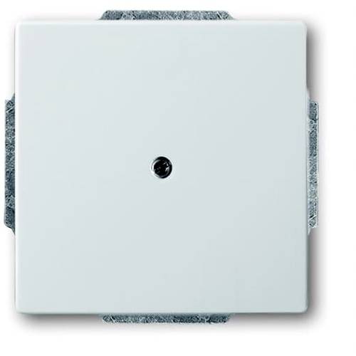 Busch-Jaeger Abdeckung Edelstahl 2CKA001710A3752 1 St.