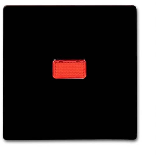 Busch-Jaeger Abdeckung Taster Allwetter 44 (IP44) Braun 2CKA001731A1964 1 St.