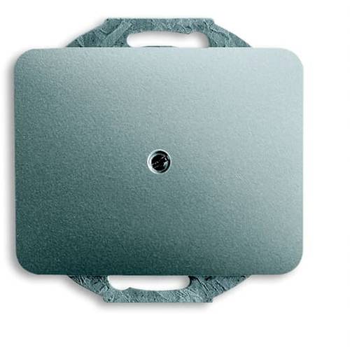 Busch-Jaeger Abdeckung Titan 2CKA001710A3342 1 St.