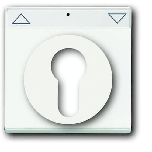 Busch-Jaeger Abdeckung Schlüsselschalter, Schlüsseltaster Future Linear Weiß, Verkehrsweiß 2CKA001710A3925 1 St.