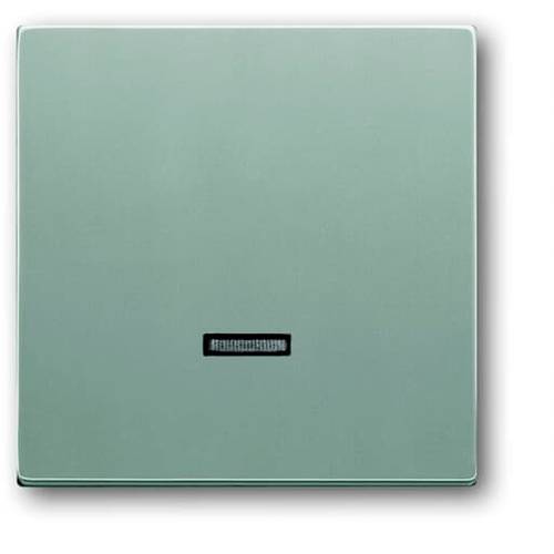 Busch-Jaeger 6543-83-101 Eingangsmodul Ohne Aluminium, Weißaluminium (RAL 9006) 1 St.