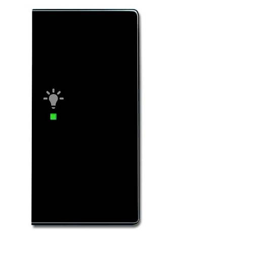 Busch-Jaeger 2fach Abdeckung Symbolwippe Licht Carat Anthrazit, Schwarz-Grau 2CKA006220A0062 1 St.