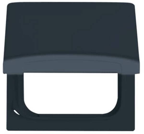 Busch-Jaeger Abdeckung Allwetter 44 (IP44) Anthrazit, Schwarz-Grau 2CKA001710A1936 1 St.