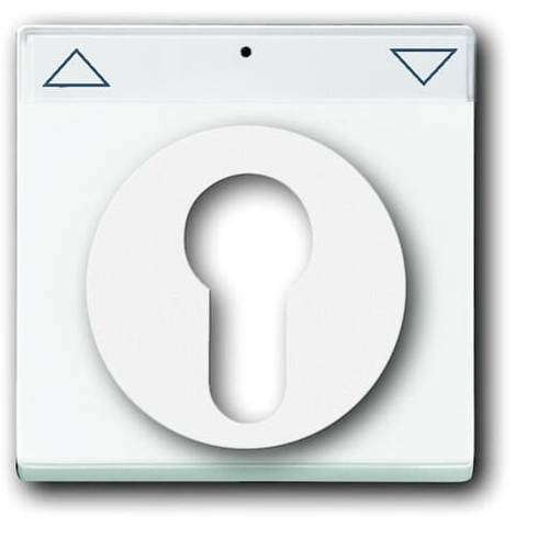 Busch-Jaeger Abdeckung Schlüsselschalter, Schlüsseltaster Axcent Weiß, Verkehrsweiß 2CKA001710A3175 1 St.