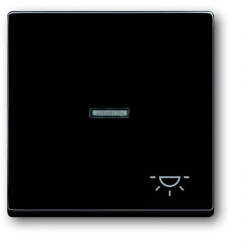 Busch-Jaeger Abdeckung Symbolwippe Licht Busch-axcent, Carat, Future Linear, Dynasty Anthrazit, Schwarz-Grau 2CKA001751A...