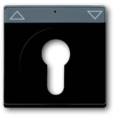 Busch-Jaeger Abdeckung Schlüsselschalter, Schlüsseltaster Future Linear Schwarz, Tiefschwarz (RAL 9005) 2CKA001710A3902 ...