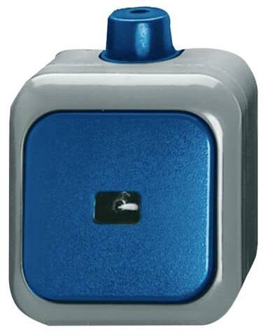 Busch-Jaeger Wipptaster 2621 WDI-0