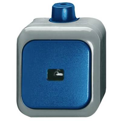 Busch-Jaeger Wipptaster 2621 WDI-0