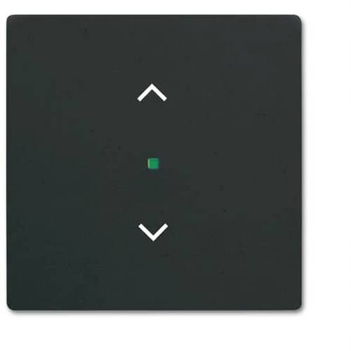 Busch-Jaeger 1fach Abdeckung free@home Tiefschwarz (RAL 9005), Schwarz 2CKA006220A0500 1 St.