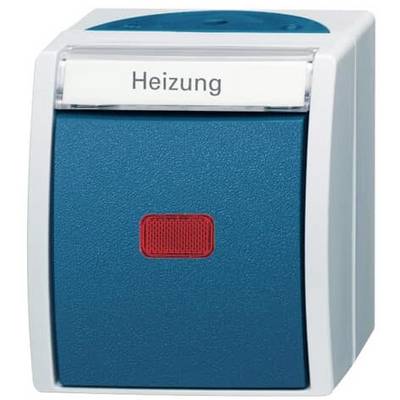 Ein blauer Schalter mit der Beschriftung 'Heizung'. Der Schalter hat ein rotes Bedienfeld in der Mitte.