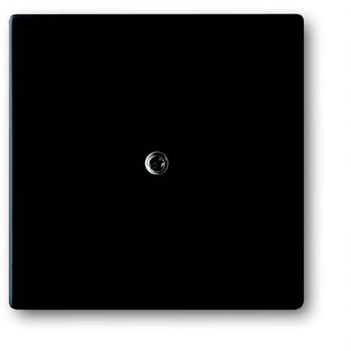 Busch-Jaeger Abdeckung TAE-Steckdose Future Linear Tiefschwarz (RAL 9005), Schwarz 2CKA001710A3896 1 St.