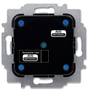 Busch-Jaeger 2CKA006200A0042 Sensor 6221/1.0-WL
