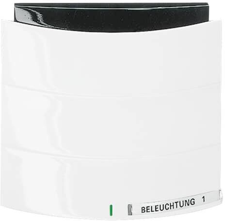 Busch-Jaeger 6320/10-24G 2CKA006320A0003 Eingangsmodul Weiß, Verkehrsweiß 1 St.