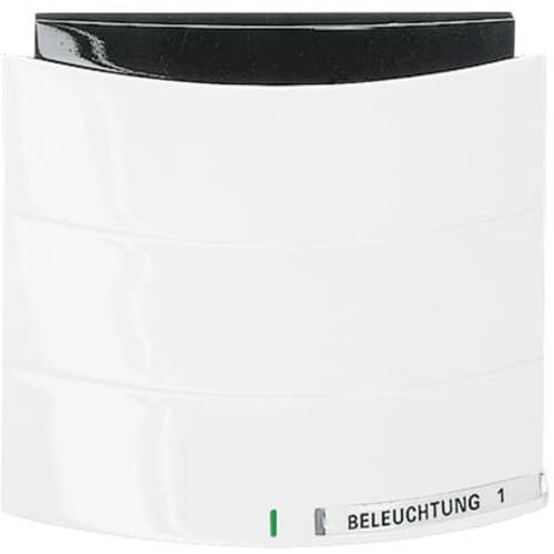 Busch-Jaeger 6320/10-24G 2CKA006320A0003 Eingangsmodul Weiß, Verkehrsweiß 1 St.