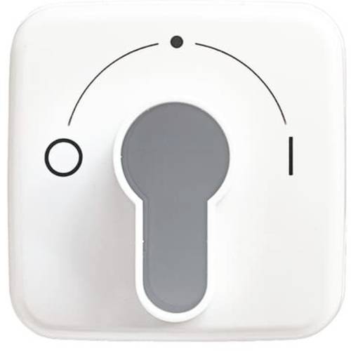 Busch-Jaeger Abdeckung Schlüsselschalter, Schlüsseltaster Reflex SI Weiß, Reinweiß (RAL 9010) 2CKA001710A1456 1 St.