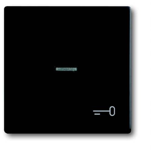 Busch-Jaeger Abdeckung Symbolwippe Schlüssel Busch-axcent, Future Linear Tiefschwarz (RAL 9005), Schwarz 2CKA001751A3046...