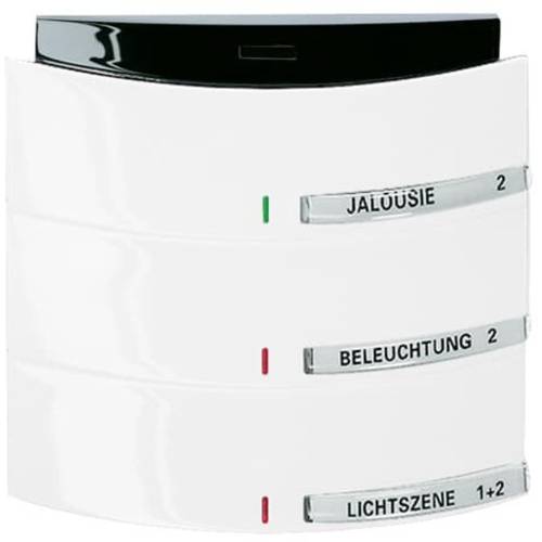 Busch-Jaeger 6320/30-24G 2CKA006320A0013 Eingangsmodul Weiß, Verkehrsweiß 1 St.