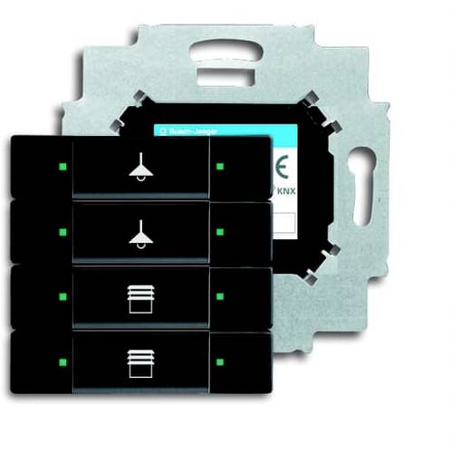 Busch-Jaeger 6127/01-885 2CKA006117A0208 Eingangsmodul Tiefschwarz (RAL 9005), Schwarz 1 St.