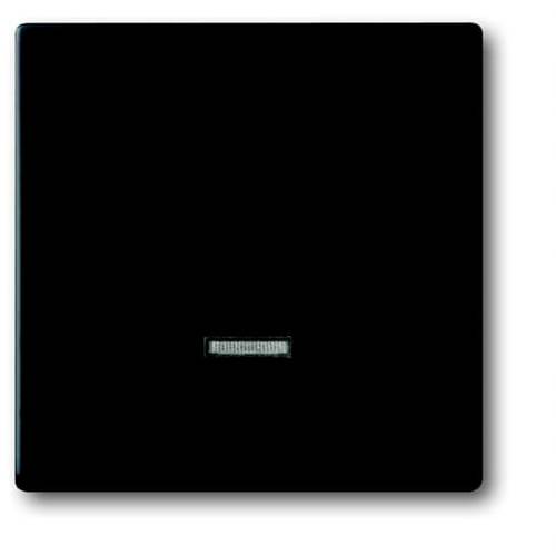 Busch-Jaeger 6543-885-101 2CKA006599A2968 Eingangsmodul Ohne Tiefschwarz (RAL 9005), Schwarz 1 St.