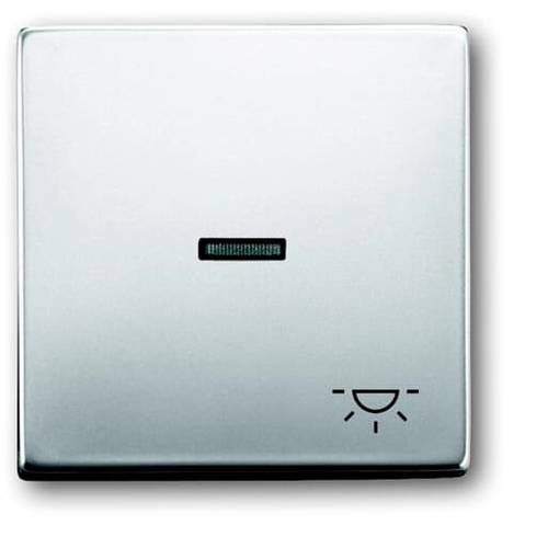 Busch-Jaeger Abdeckung Symbolwippe Licht Pur Edelstahl Edelstahl 2CKA001751A2958 1 St.