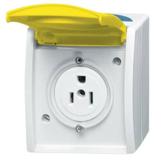 Busch-Jaeger Einsatz Nema-Steckdose Zinkgelb, Gelb 2CKA002124A0023 1 St.