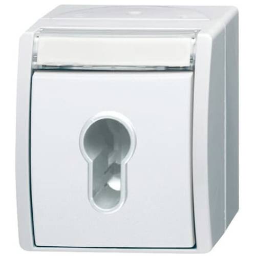 ABB 2CKA001101A0925 2733 SLW-54 Schlüssel IP44 1 St.