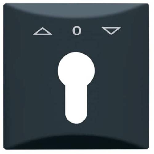 Busch-Jaeger Abdeckung Schlüsselschalter, Schlüsseltaster Allwetter 44 (IP44) Anthrazit, Schwarz-Grau 2CKA001710A1894 1 ...