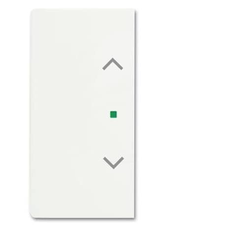 Busch-Jaeger 2fach Abdeckung free@home Verkehrsweiß, Weiß 2CKA006220A0488 1 St.