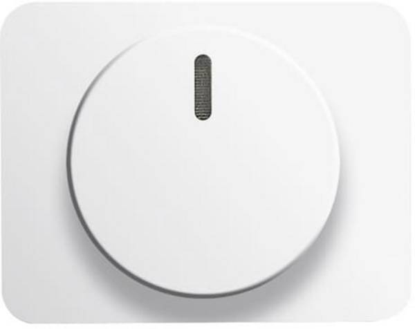 Busch-Jaeger Zentralscheibe stws gl für Drehdimmer 6540-24G 70 mm, 54 75 mm