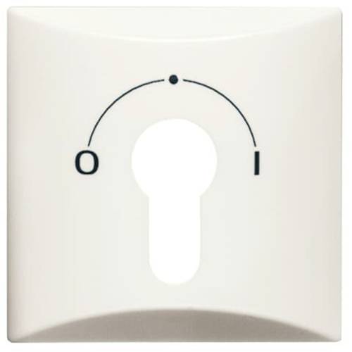 Busch-Jaeger Abdeckung Schlüsselschalter, Schlüsseltaster Allwetter 44 (IP44) Creme-Weiß, Reinweiß (RAL 9010) 2CKA001710...