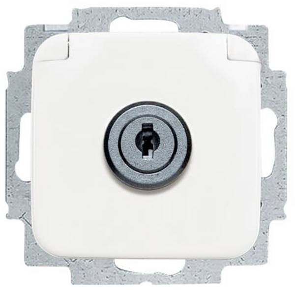 ABB 2CKA002018A1479  Geräteeinsatz  gleichschließend, abschließbar IP20 Reinweiß (RAL 9010), Weiß