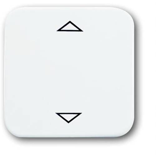 Busch-Jaeger 6430-214-102 2CKA006430A0314 Eingangsmodul ↑/↓ Weiß, Reinweiß (RAL 9010) 1 St.