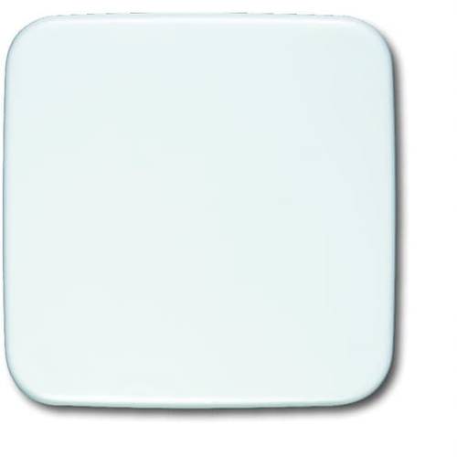 ABB Abdeckung Blindabdeckung Reinweiß (RAL 9010), Weiß 2CKA001582A0354 1 St.