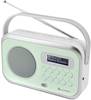 soundmaster DAB270GR Tischradio DAB+, UKW AUX, DAB+, UKW Grün