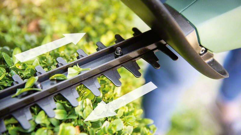 Ein elektrischer Heckenschneider schneidet grüne Zweige einer Hecke. Zwei weiße Pfeile zeigen die Schneidrichtung des Geräts an.
