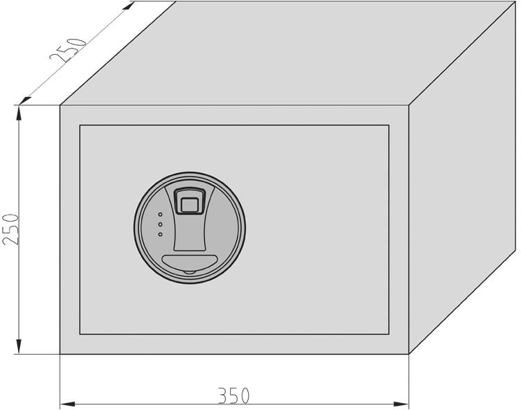 Ein rechteckiger Safe mit Fingerabdruckscanner auf der Vorderseite. Maße sind 250 mm hoch, 350 mm breit und 250 mm tief.