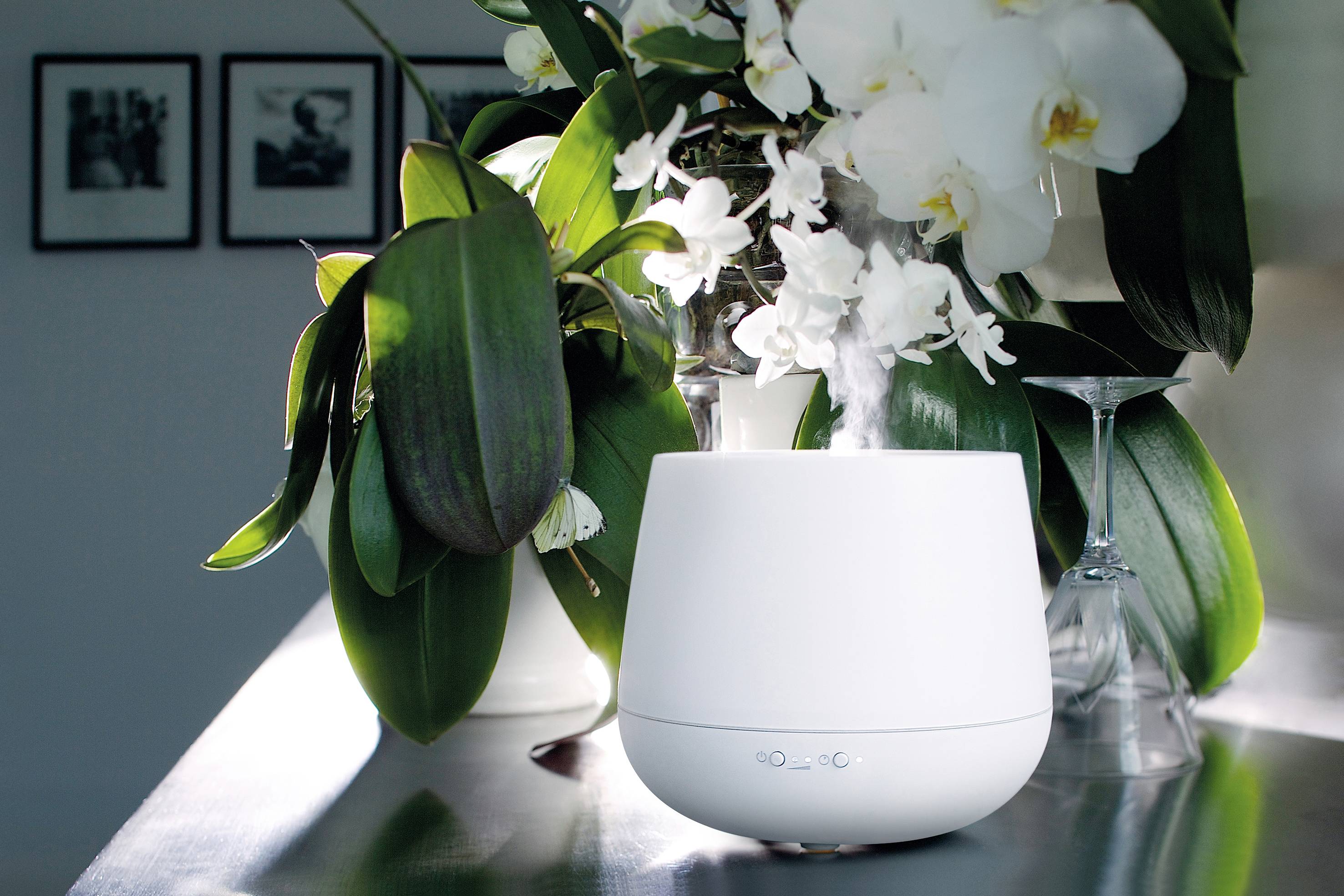 Ein weißer Luftbefeuchter verbreitet Dampf neben einer Vase mit Orchideen auf einem Tisch mit weicher Beleuchtung im Hintergrund.