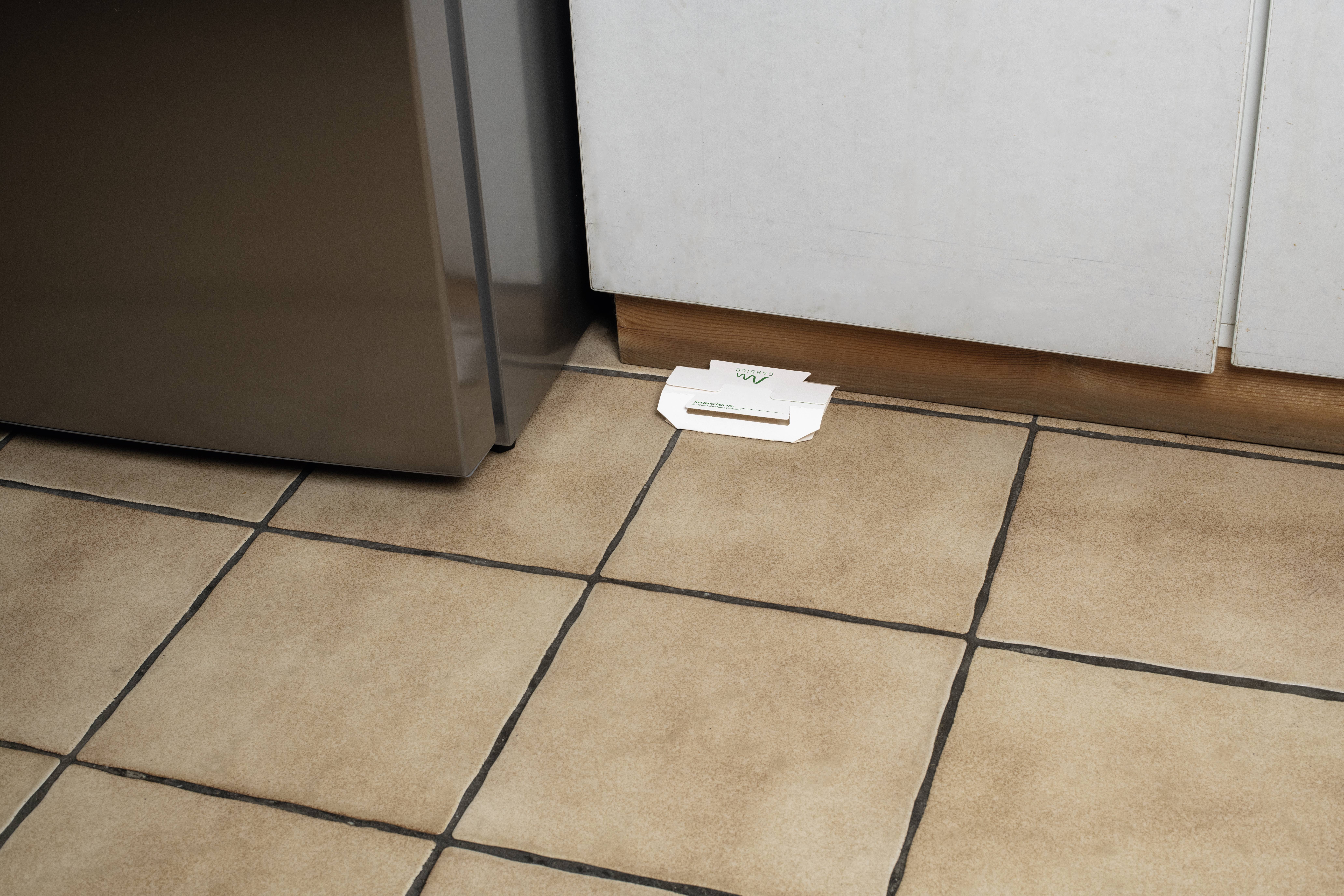 Ein Kakerlakenköder in einer weißen Falle liegt auf gefliesten Boden zwischen einem Kühlschrank und einem Küchenschrank.