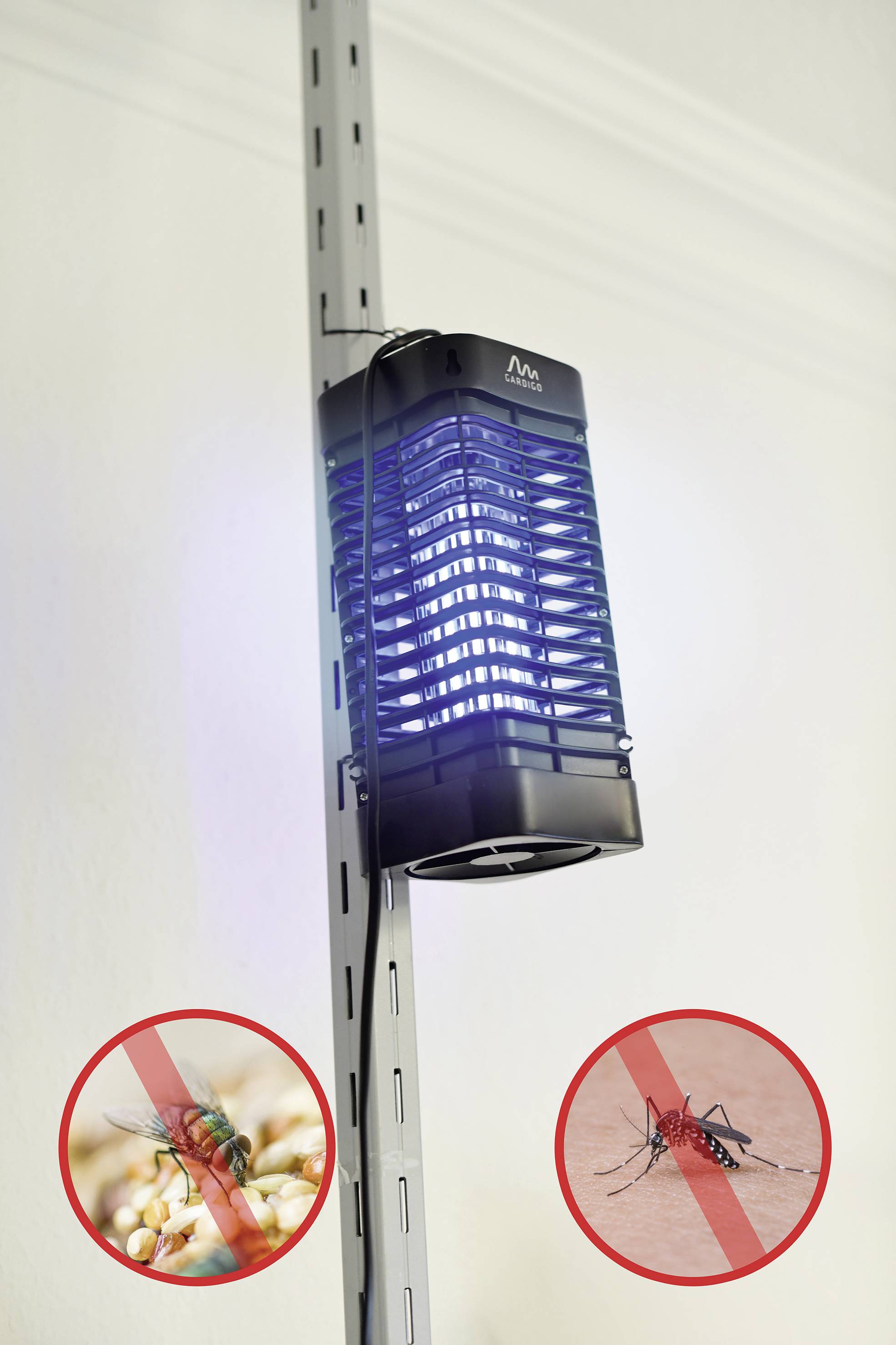 Elektrischer Insektenvernichter an einem Metallpfosten montiert, mit blauem Licht. Kreisbilder unten zeigen Mücken und Fliegen mit durchgestrichenen Linien.