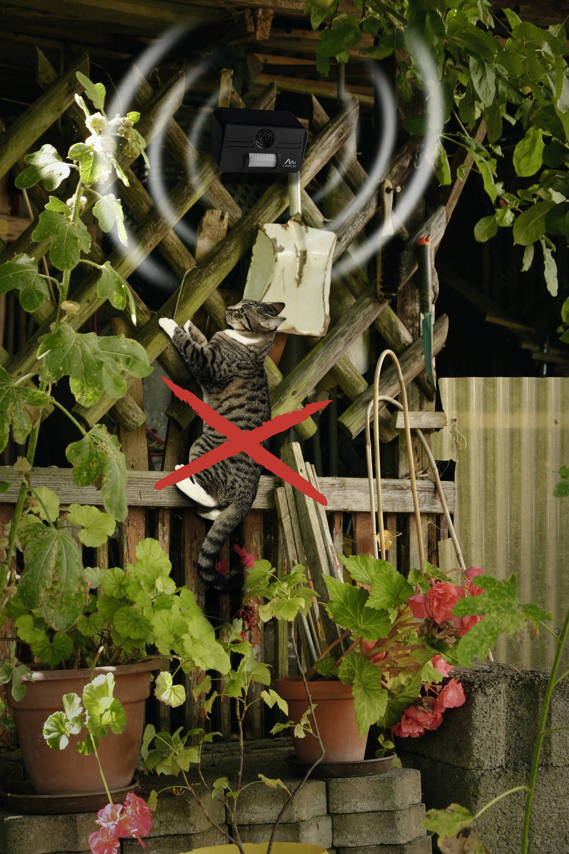 Eine Katze klettert auf ein Holzgestell im Garten, darunter Pflanzen in Töpfen. Über der Katze ist ein Sensor, der Alarmwellen zeigt. Ein rotes Kreuz markiert die Katze.