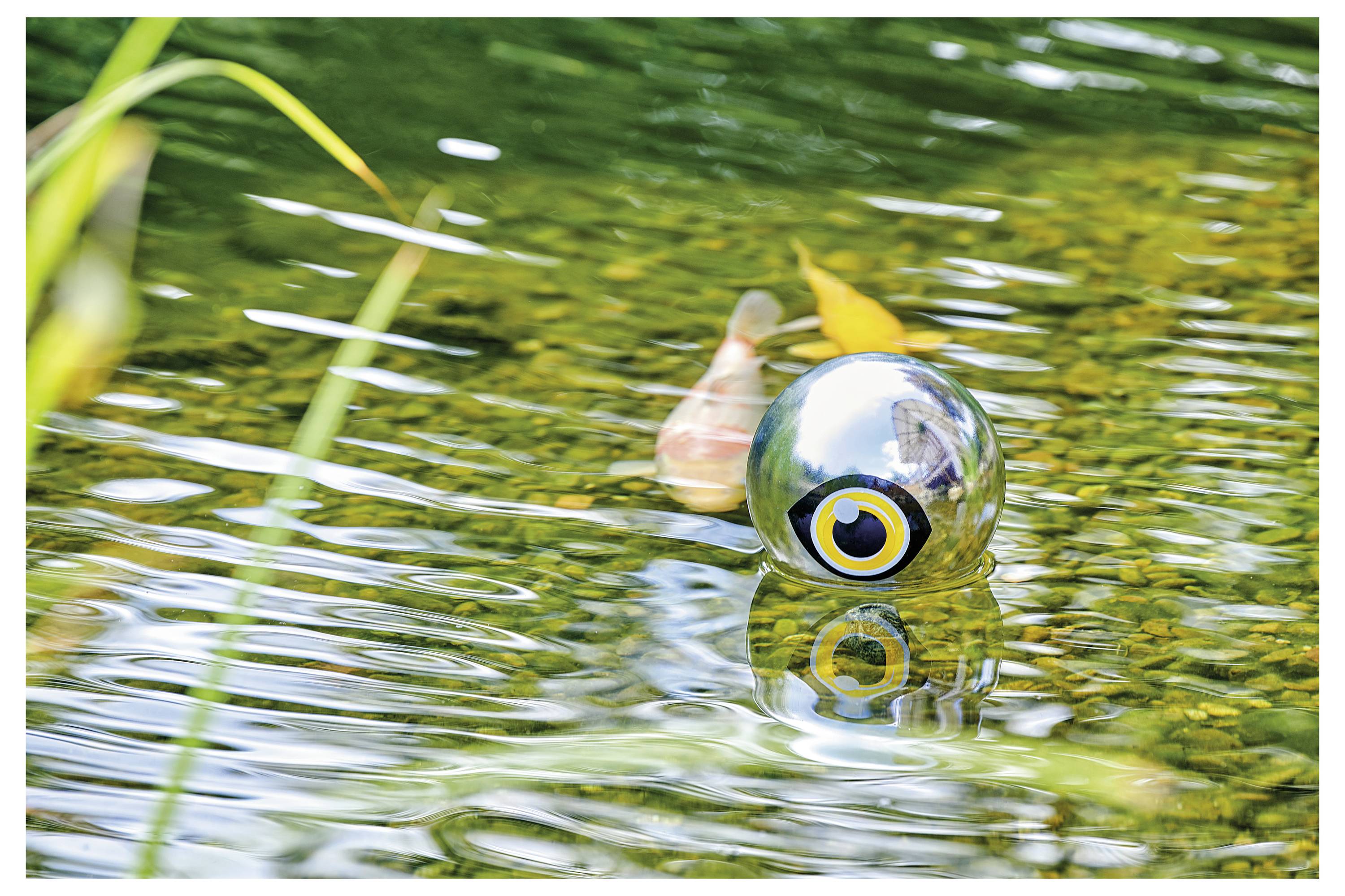 Eine reflektierende Kugel schwebt auf einem Teich, umgeben von klarem Wasser und grünem Laub, und schafft eine friedvolle und ruhige Szenerie.