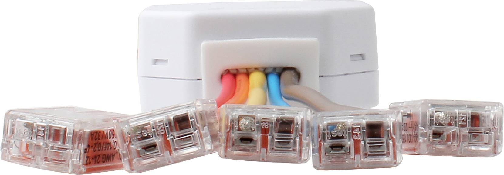 Ein elektrischer Verteiler mit mehreren farbigen Kabeln, die in transparente Klemmen eingeführt sind, vor einem weißen Hintergrund.