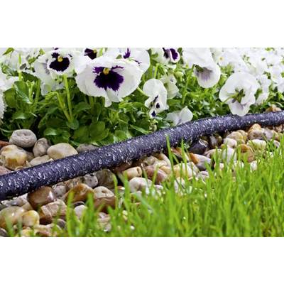 Ein Bewässerungsschlauch wässert Blumen und Gras auf Steinen. Die Blumen haben weiße Blüten mit dunklem Zentrum.