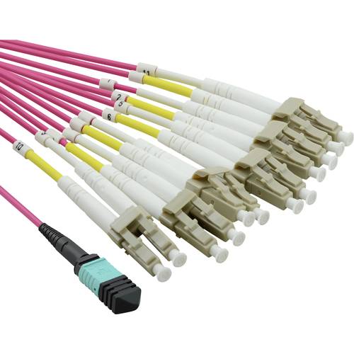 VALUE MPO-Fanout-Kabel 50/125µm OM4, MPO/12x LC, violett, 2 m