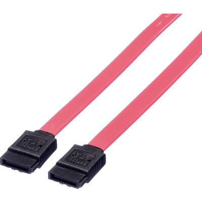 Zwei rote SATA-Kabel mit schwarzen Steckern nebeneinander liegend, für den Anschluss interner Computerlaufwerke an das Mainboard.