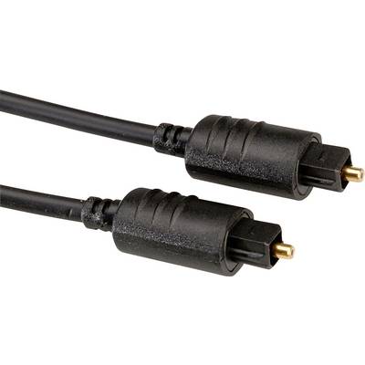 Zwei schwarze Toslink-Stecker, die für optische Audiokabel verwendet werden, nah beieinander liegend.