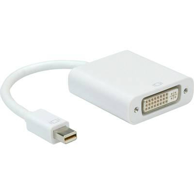 Ein weißer Mini DisplayPort-auf-DVI-Adapter. Links der Mini DisplayPort-Stecker, rechts die DVI-Buchse. Gerät zum Videoanschluss.