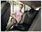 Eine Person in einem gestreiften Shirt saugt den Rücksitz eines Autos aus und entfernt Schmutz. Sonnenlicht fällt durch die Fenster und deutet auf eine Reinigungsaufgabe hin.